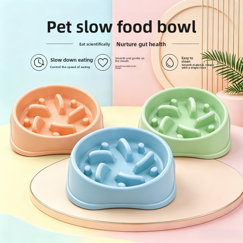 Royal Canin Food Medium - Ciotola Antiscivolo per Cani 1/3 Pezzi,