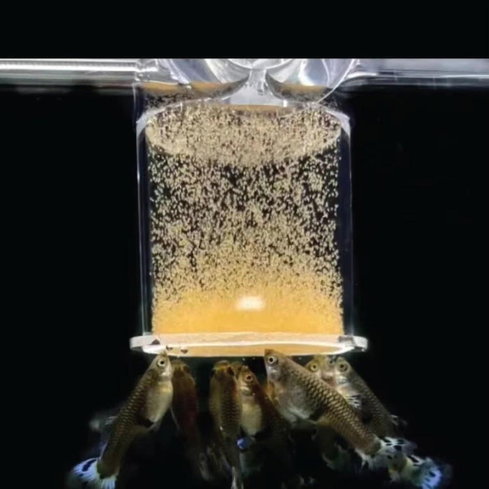 Aquarium Fish Eggs - Mangiatoia per gamberetti in salamoia acrilica