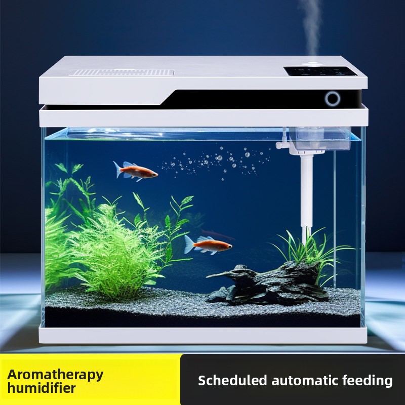 All Fish In Aquarium - Acquario in Vetro Trasparente con Alimentazione