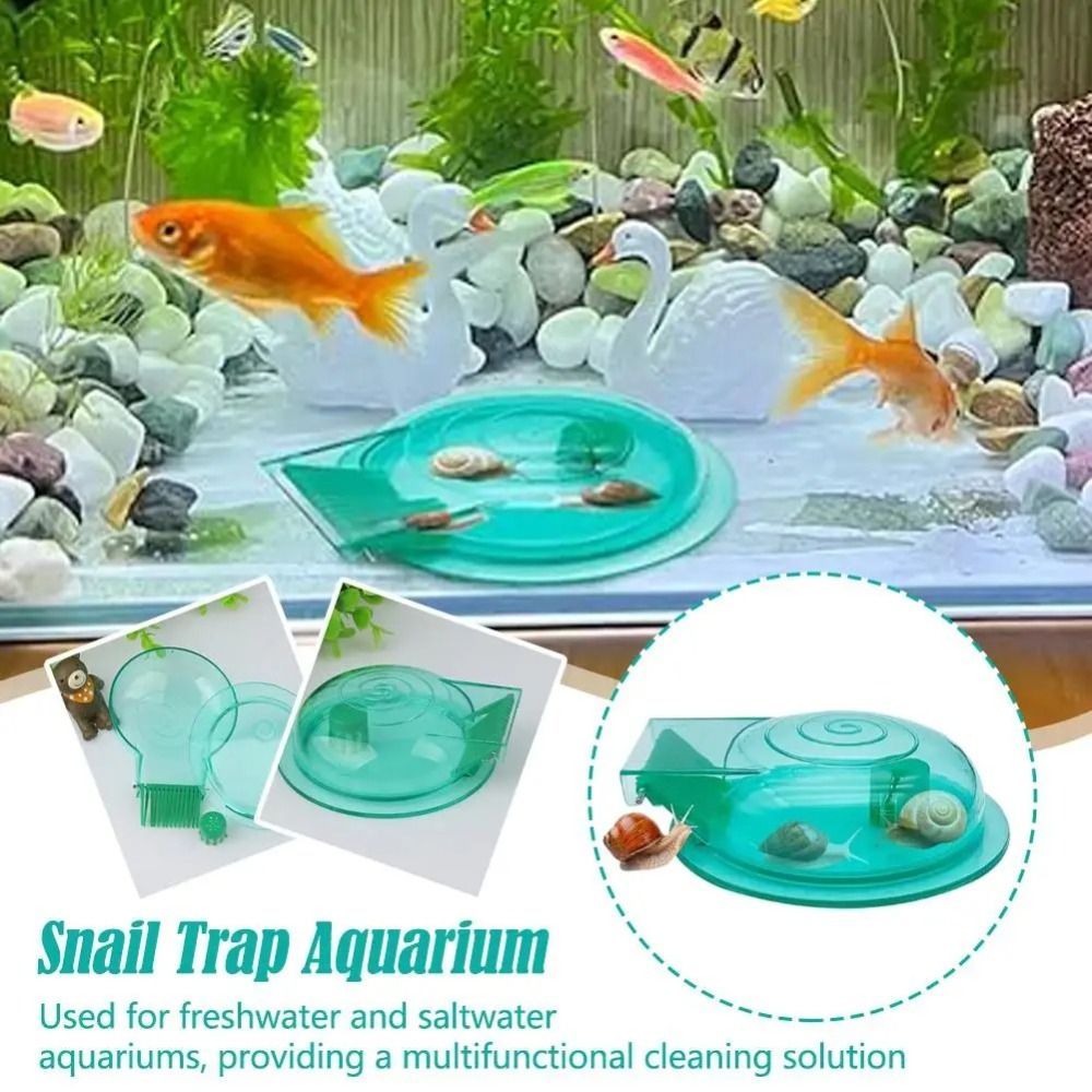 Aquarium Fish Eggs - Trappola per Lumache d'Acquario d'Acqua Dolce