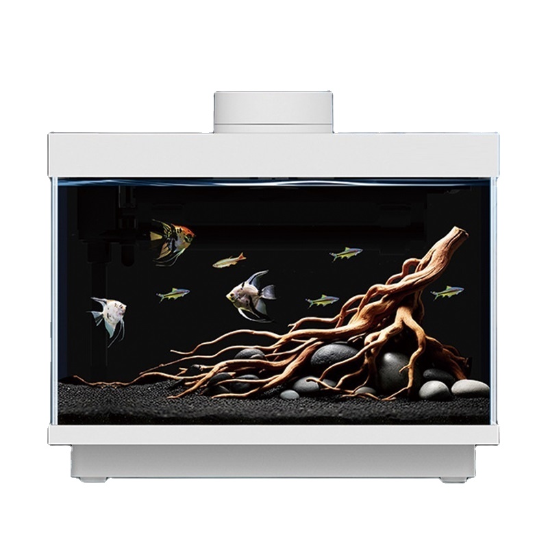 All Fish In Aquarium - Acquario da tavolo multifunzionale all-in-one da