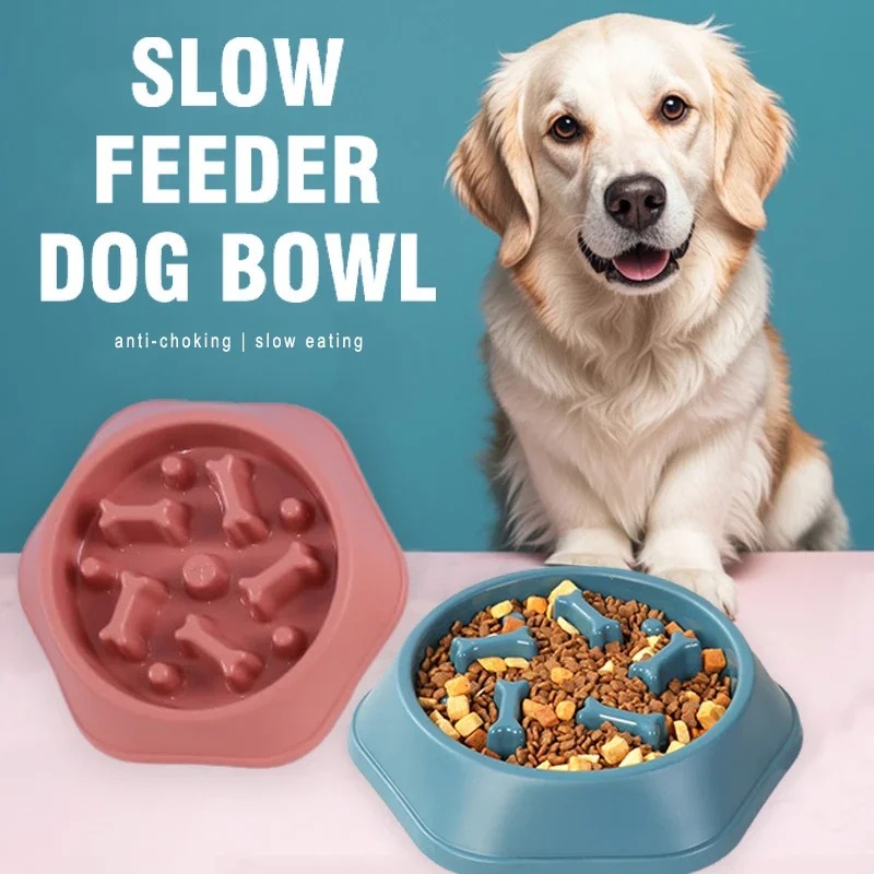 Royal Canin Food Medium - Ciotola per Cani Anti-ingozzamento 1 Pezzo,