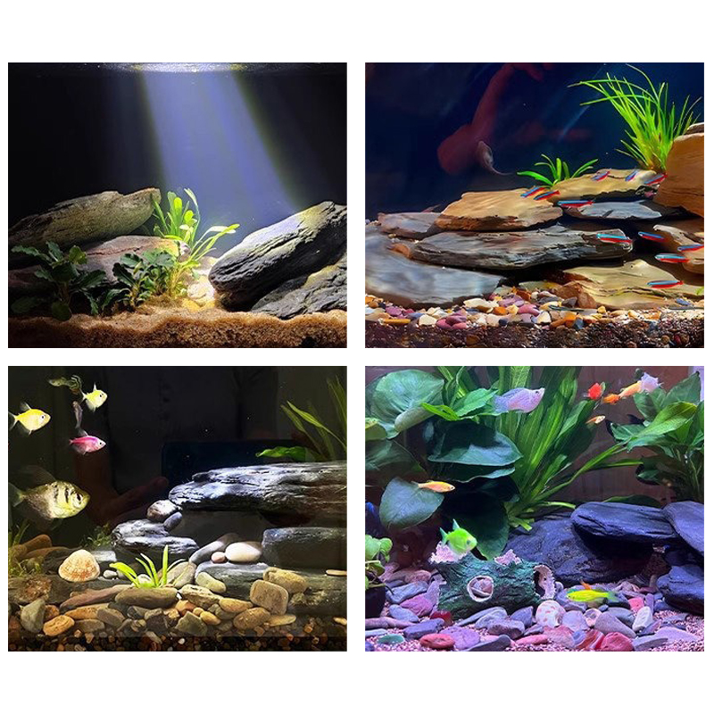 Kit di Pietre per Acquario 500 - Aquarium Fish Farm recensione e prezzo