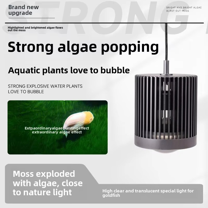 Skynuo Super Color 100W Pesce  - Aquarium Fish Colour recensione e prezzo