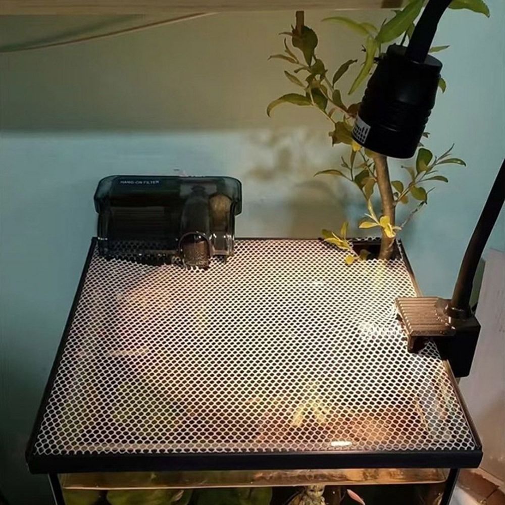 Coperchio Magnetico Robusto pe - Aquarium Fish Jumping recensione e prezzo