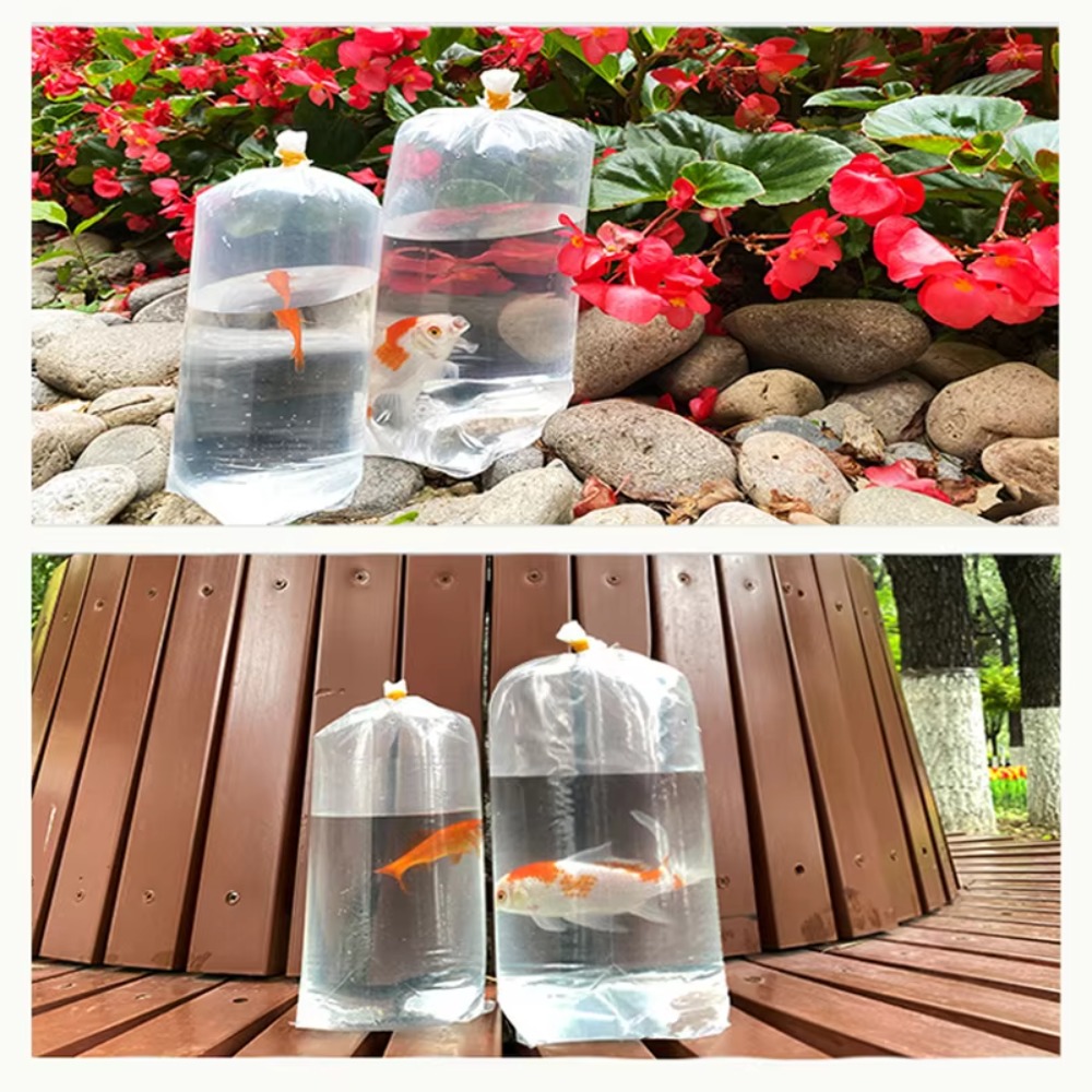 50 Pezzi di Sacche Trasparenti - Aquarium Fish Delivery recensione e prezzo