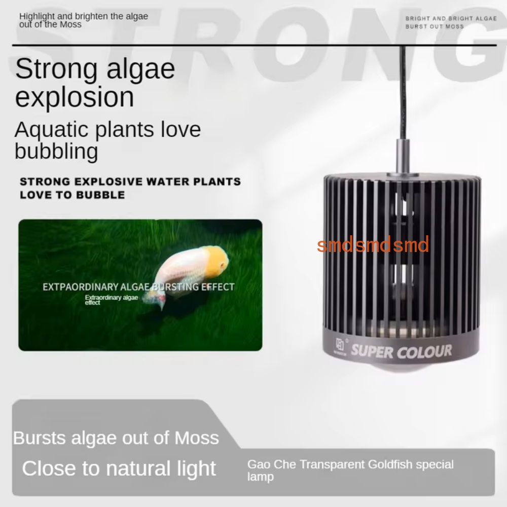 Super Color 100W Acqua dolce P - Aquarium Fish Colour recensione e prezzo