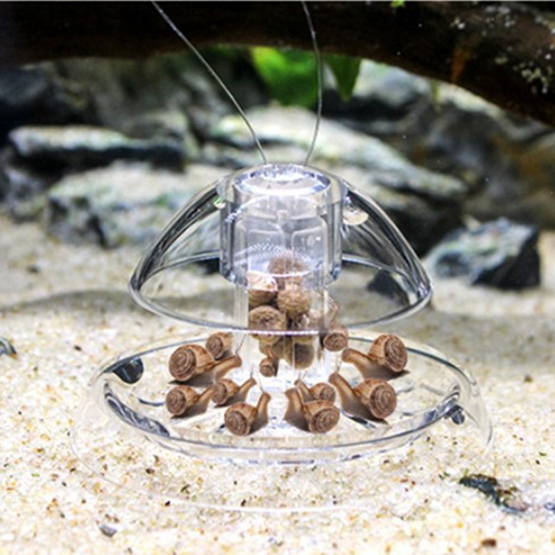 1PCS Fish Tank Aquarium Cleane - Aquarium Fish Eggs recensione e prezzo