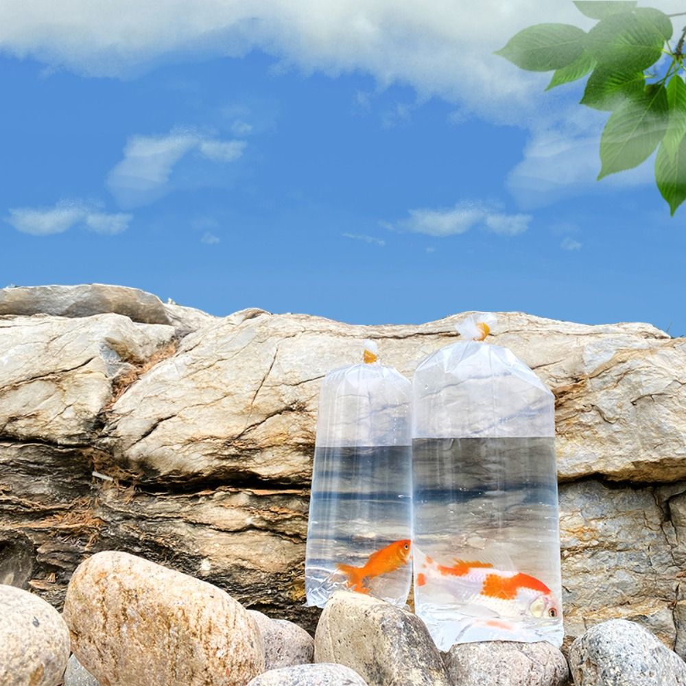 10 Sacchetti Trasparenti in Pl - Aquarium Fish Delivery recensione e prezzo