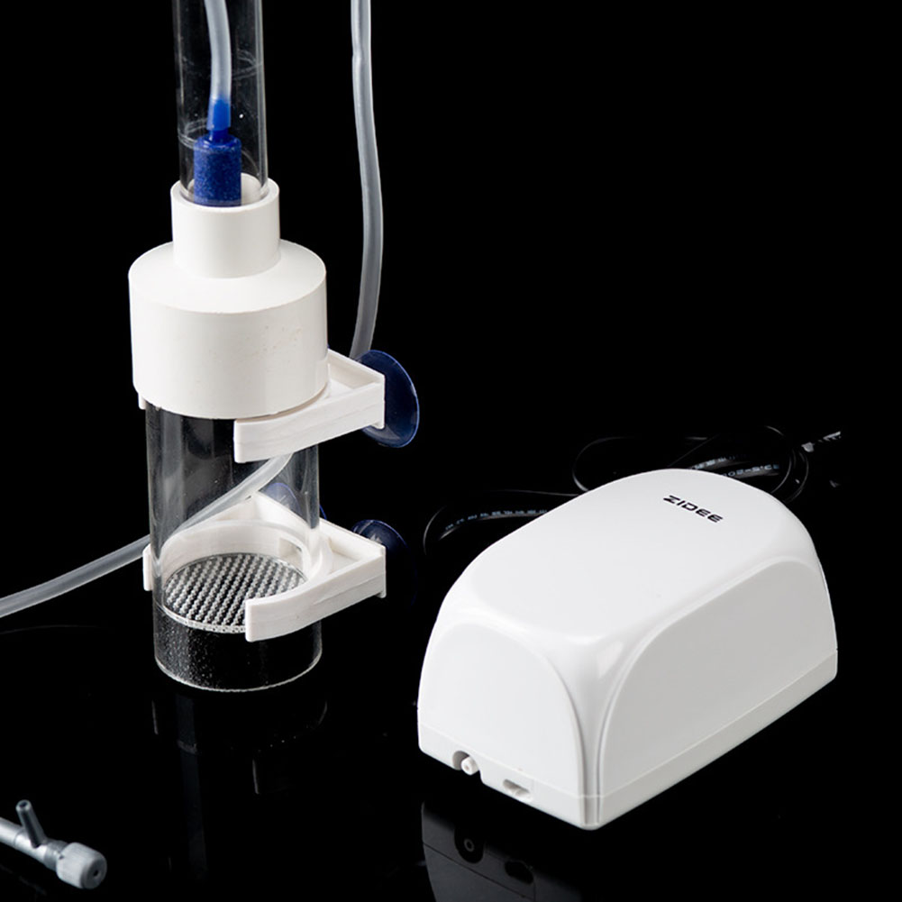 Incubatrice per uova di pesce  - Aquarium Fish Eggs recensione e prezzo