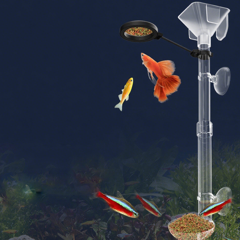 Alimentatore per pesci in acri - Aquarium Fish Eggs recensione e prezzo