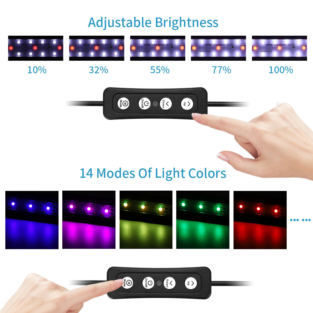 Illuminazione a LED colorata p - Aquarium Fish Colour recensione e prezzo