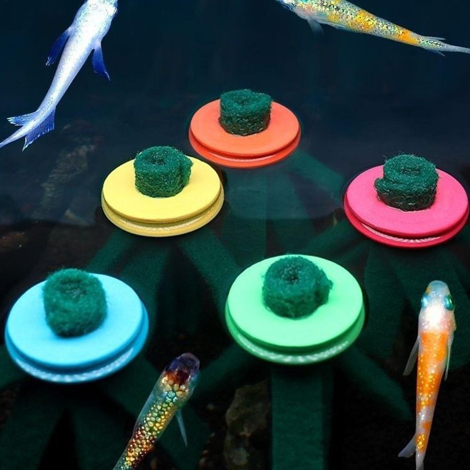 10 Pezzi Mop Decorativo per Ri - Aquarium Fish Eggs recensione e prezzo