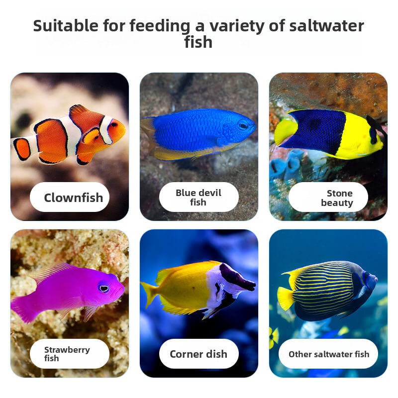 DEERA Pesce pagliaccio e cibo  - All Fish In Aquarium recensione e prezzo