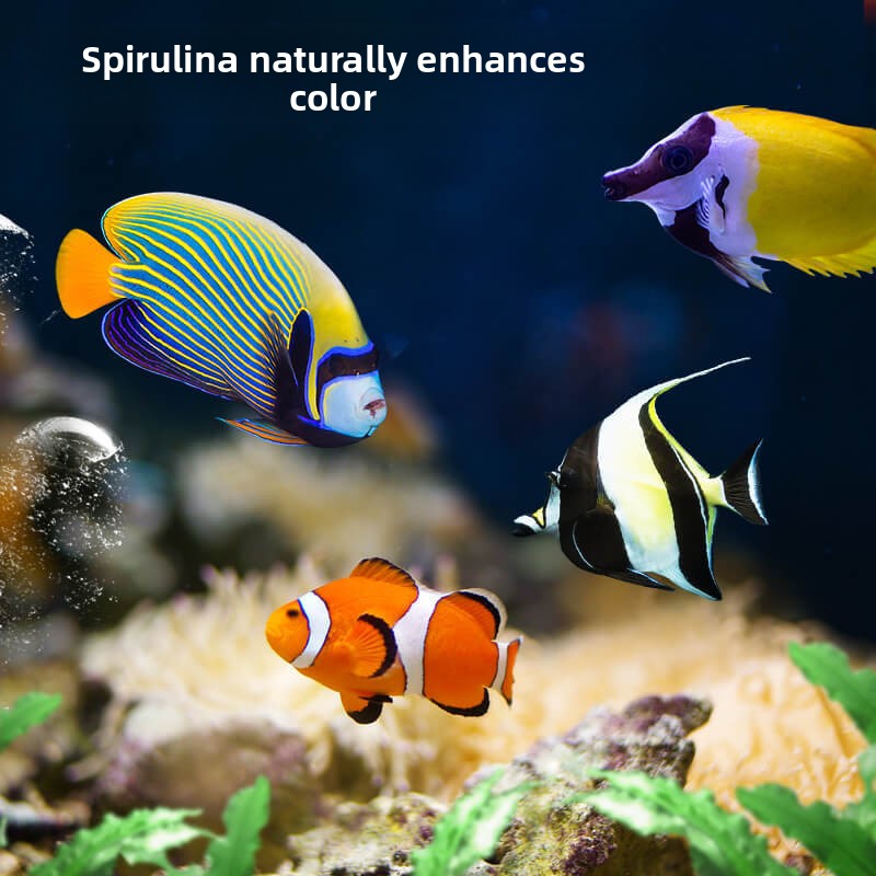 DEERA Pesce pagliaccio e cibo  - All Fish In Aquarium recensione e prezzo