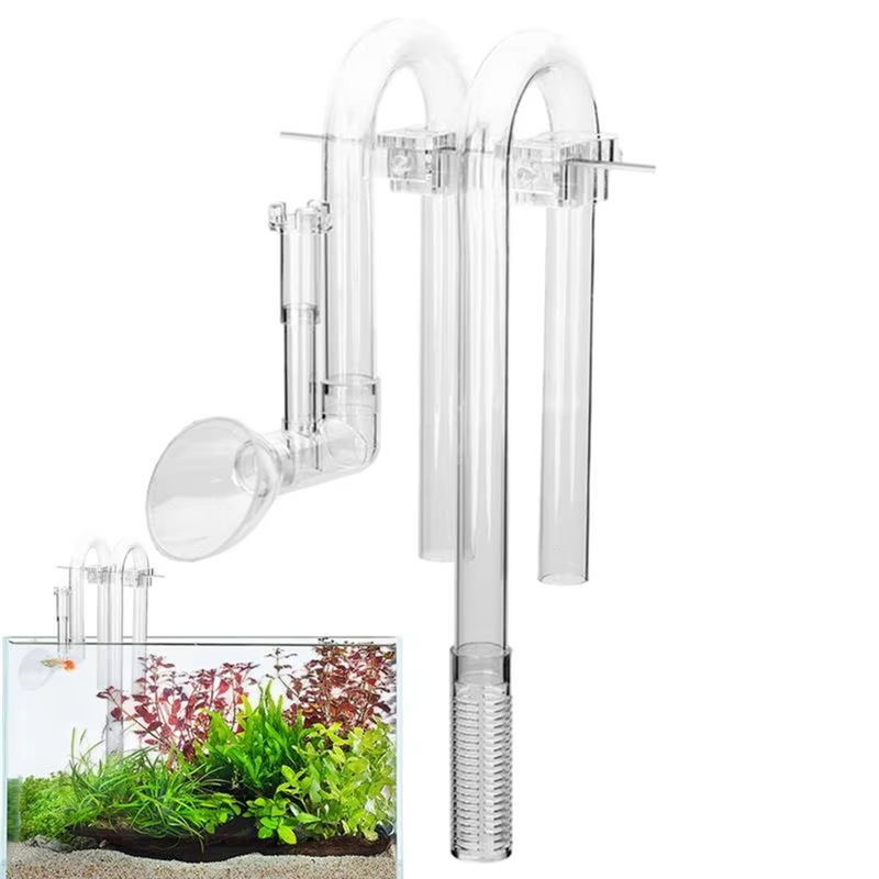 【Consegna veloce】Set di ingres - Aquarium Fish Delivery recensione e prezzo