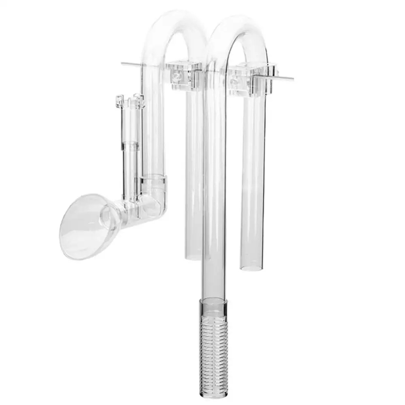 【Consegna veloce】Set di ingres - Aquarium Fish Delivery recensione e prezzo