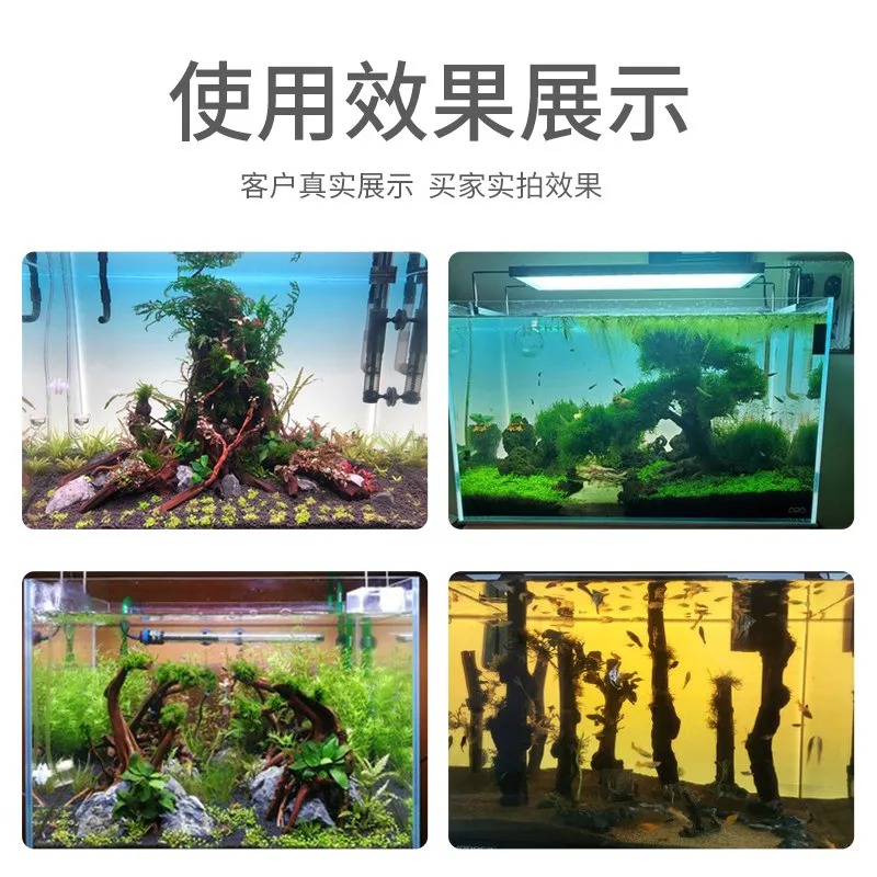 Per lo sfondo dell'acquario in - Aquarium Fish Colour recensione e prezzo