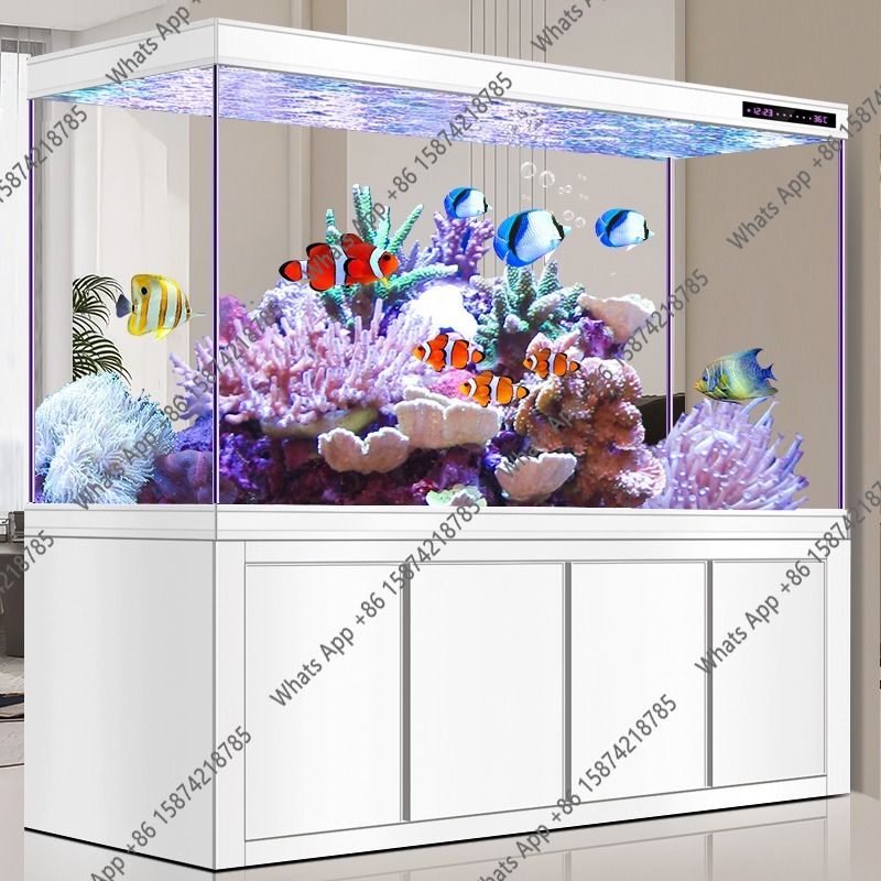 Acquario X Arowana in vetro ul - Xchange Aquarium Fish recensione e prezzo