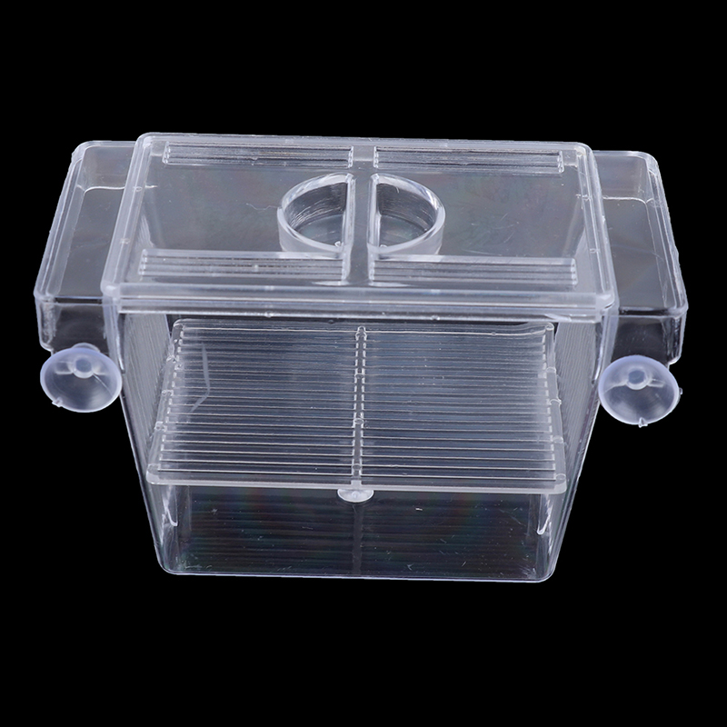 Acquario acquario acquario Gup - Aquarium Fish Eggs recensione e prezzo
