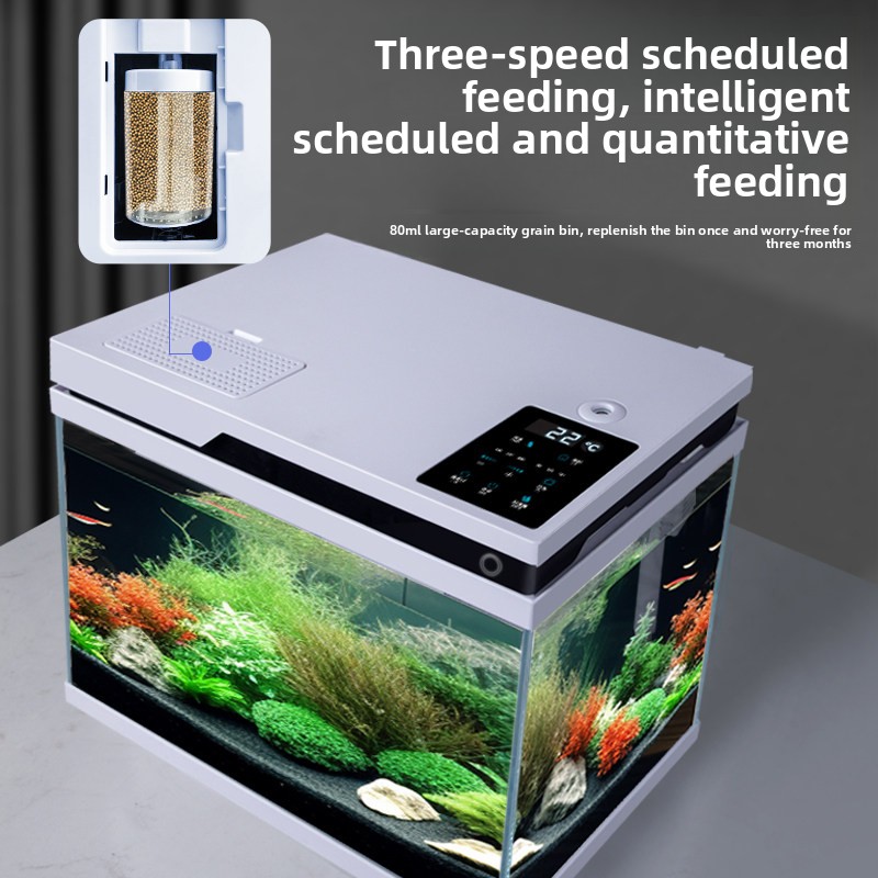 Acquario in Vetro Trasparente  - All Fish In Aquarium recensione e prezzo