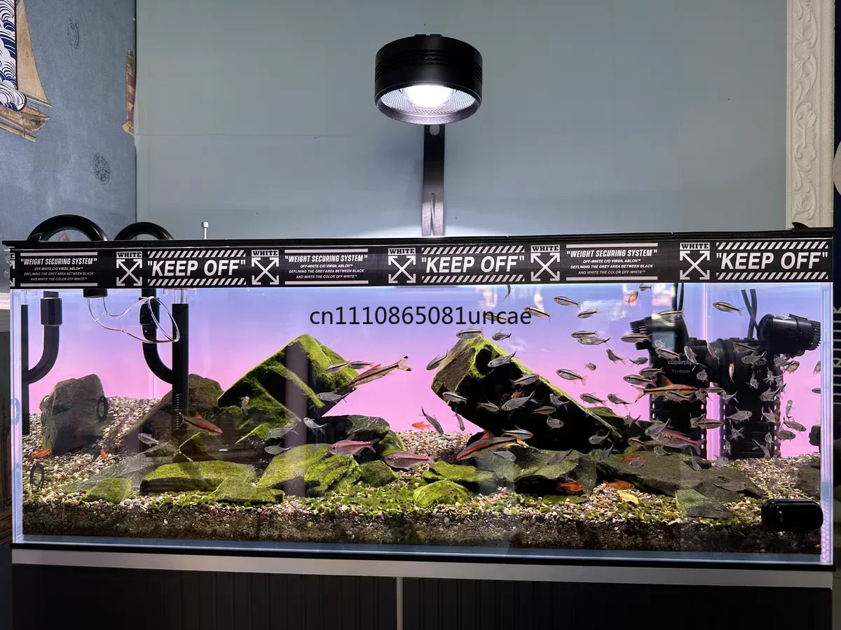 Sfondo per Acquario in Acrilic - Aquarium Fish Colour recensione e prezzo