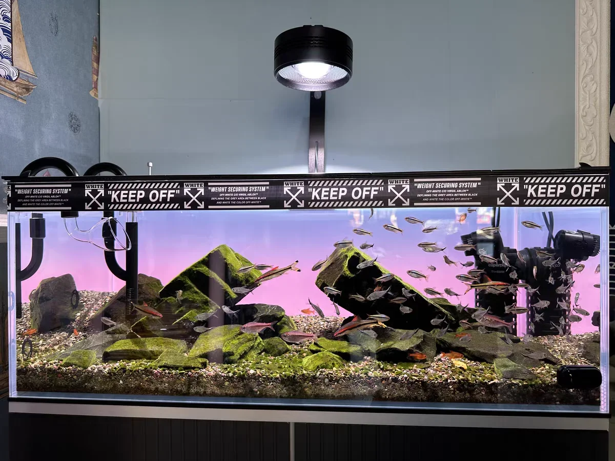 Sfondo per Acquario in Acrilic - Aquarium Fish Colour recensione e prezzo