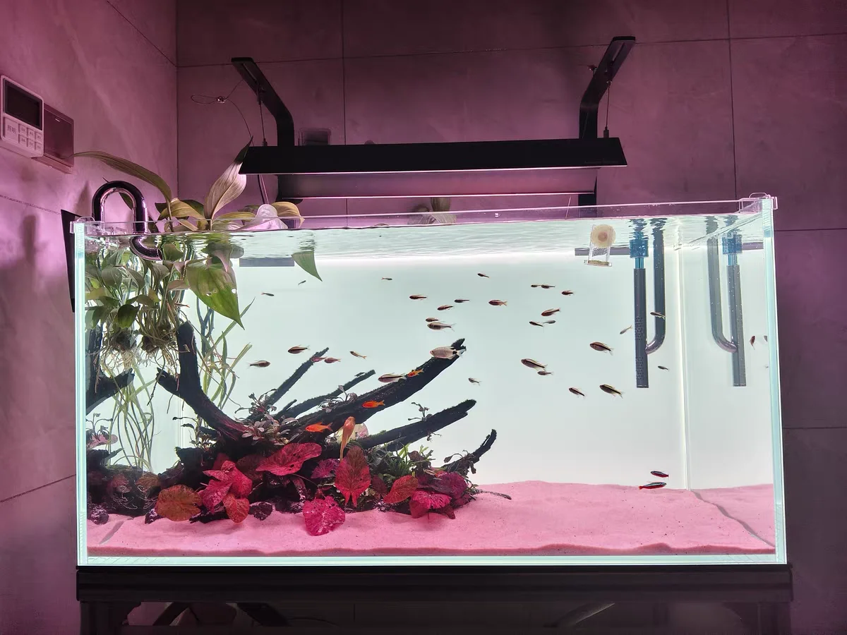 Sfondo per Acquario in Acrilic - Aquarium Fish Colour recensione e prezzo