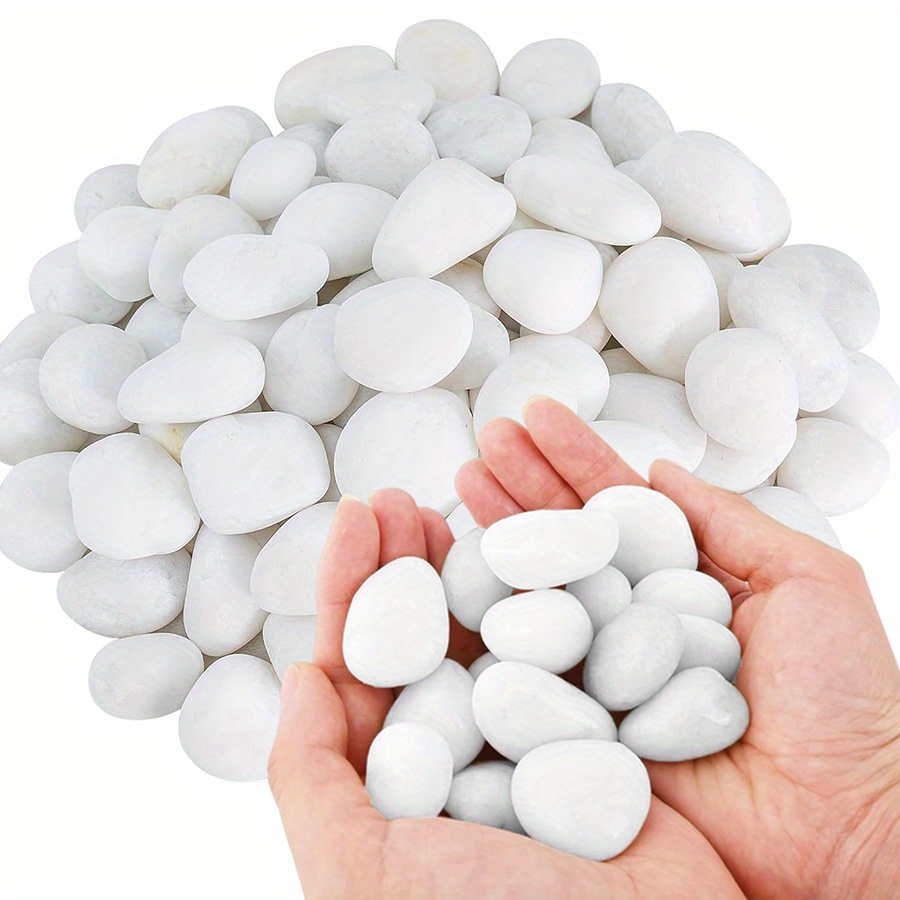 200/400g Bianco Alto Lucido Ci - Aquarium Fish Farm recensione e prezzo