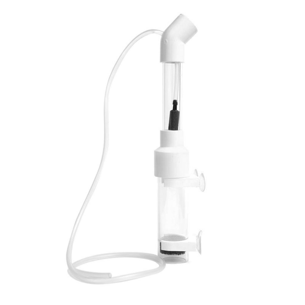 Incubatrice per uova di ciclid - Aquarium Fish Eggs recensione e prezzo
