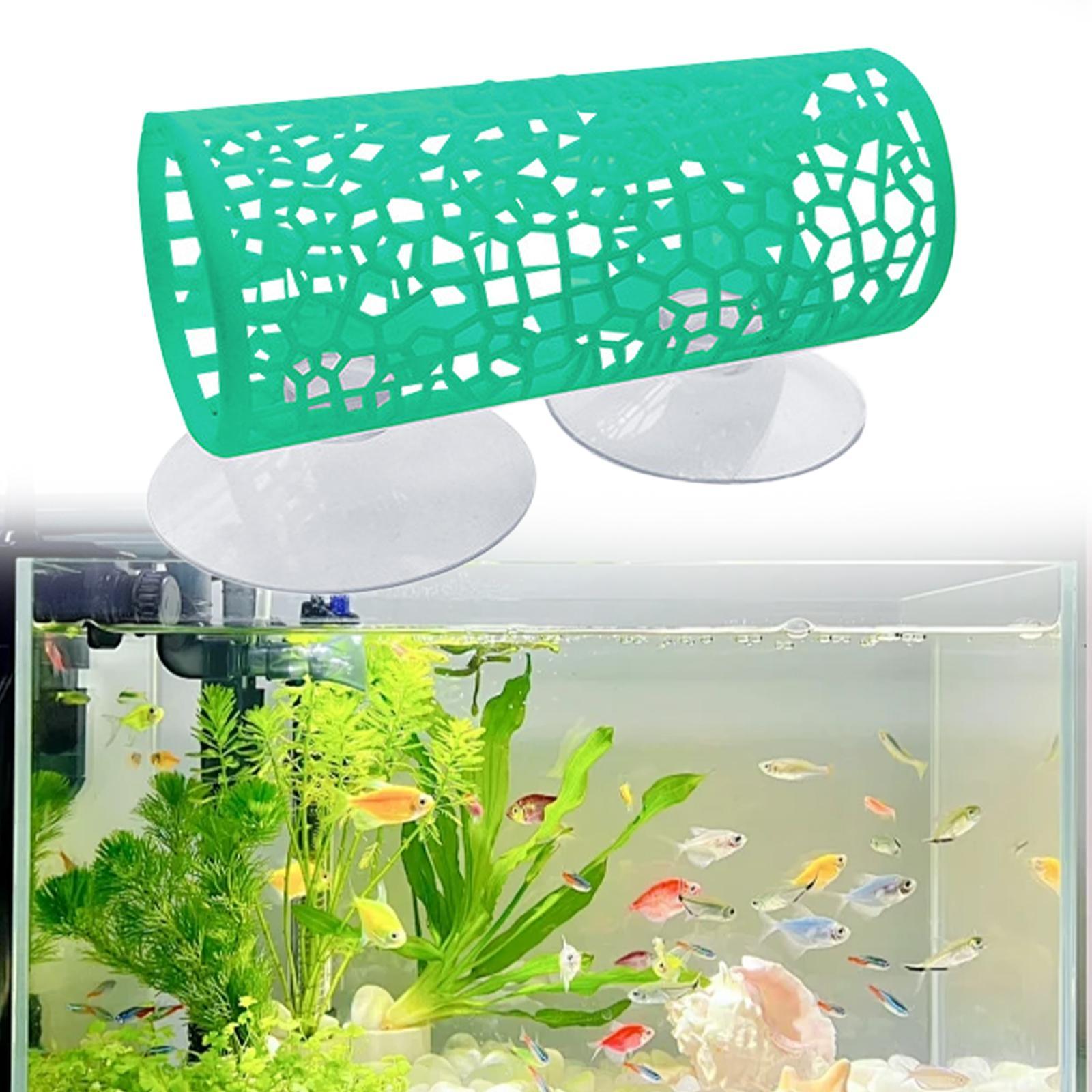 Tunnel per Betta - Nascondigli - Aquarium Fisch recensione e prezzo