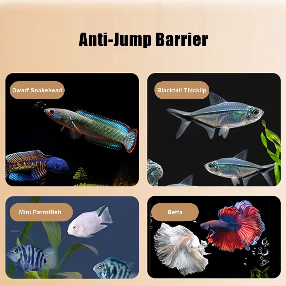 Durevole coperchio magnetico p - Aquarium Fish Jumping recensione e prezzo