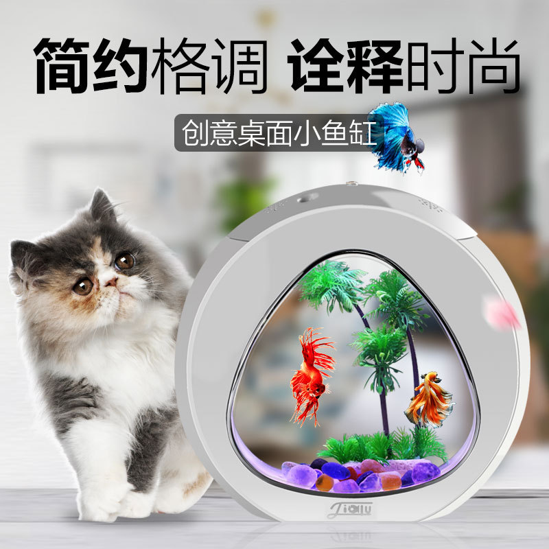 Jialu creativo desktop acquari - Aquarium Fish Delivery recensione e prezzo