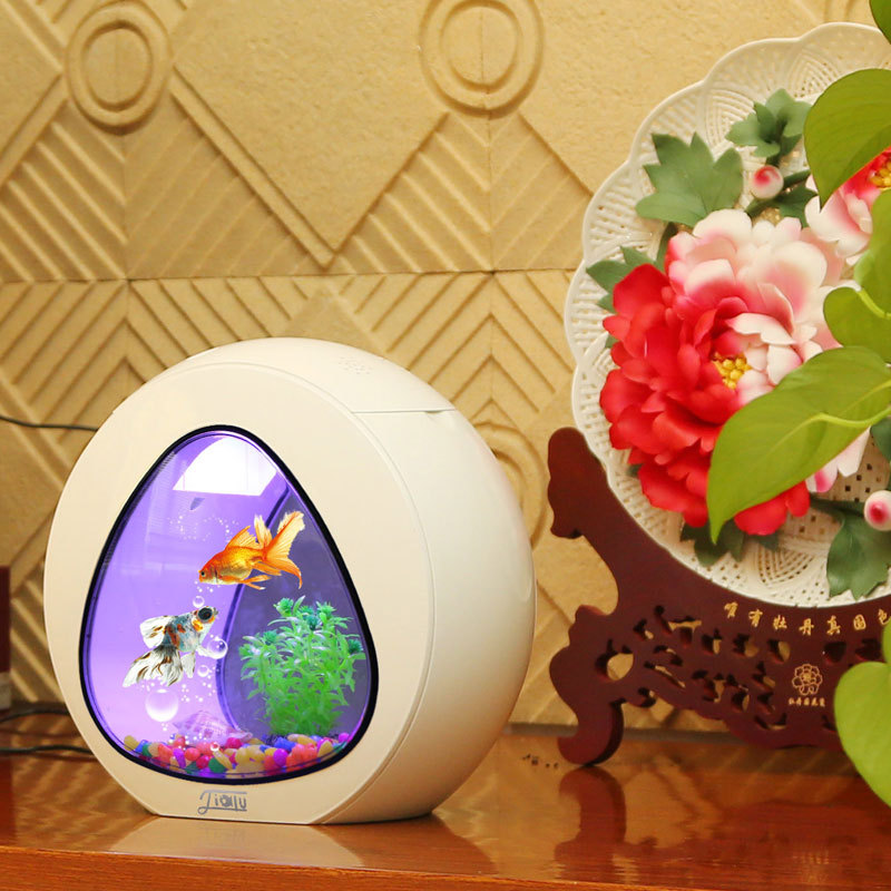 Jialu creativo desktop acquari - Aquarium Fish Delivery recensione e prezzo