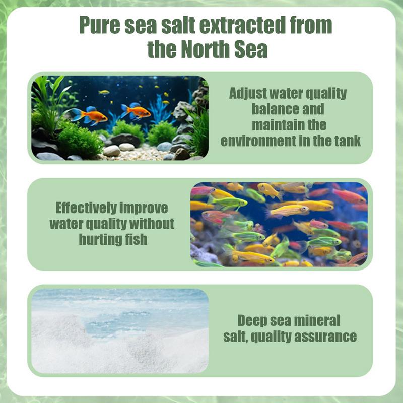 Compresse di purificazione 1 b - All Fish In Aquarium recensione e prezzo