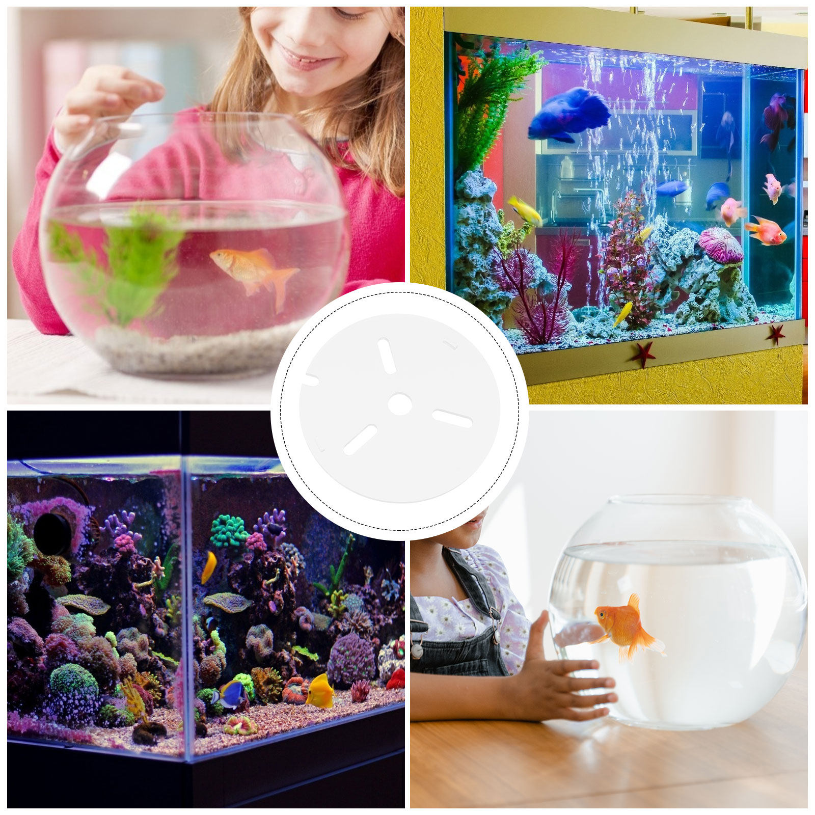 Coperchio per Acquario in Acri - Aquarium Fish Jumping recensione e prezzo