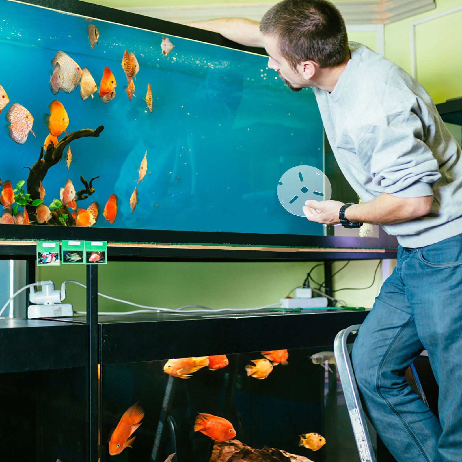 Coperchio per Acquario in Acri - Aquarium Fish Jumping recensione e prezzo