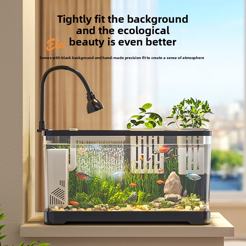 Sistema di filtraggio e ossige - All Fish In Aquarium recensione e prezzo