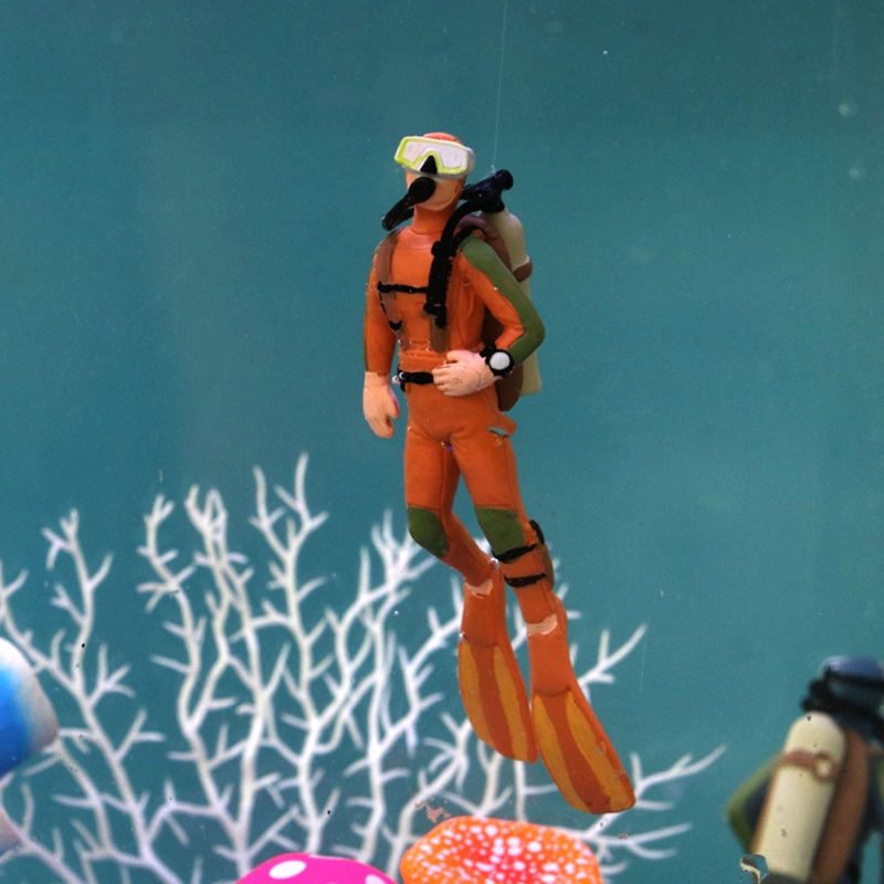 Decorazione per subacqueo per  - All Fish In Aquarium recensione e prezzo