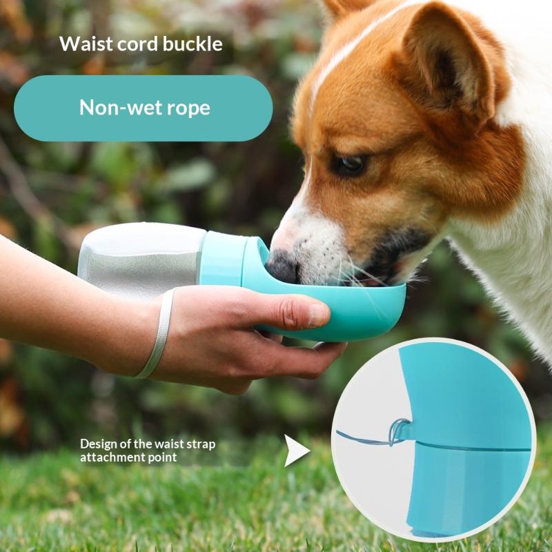 Borraccia portatile per cani d - Royal Canin Food Medium recensione e prezzo