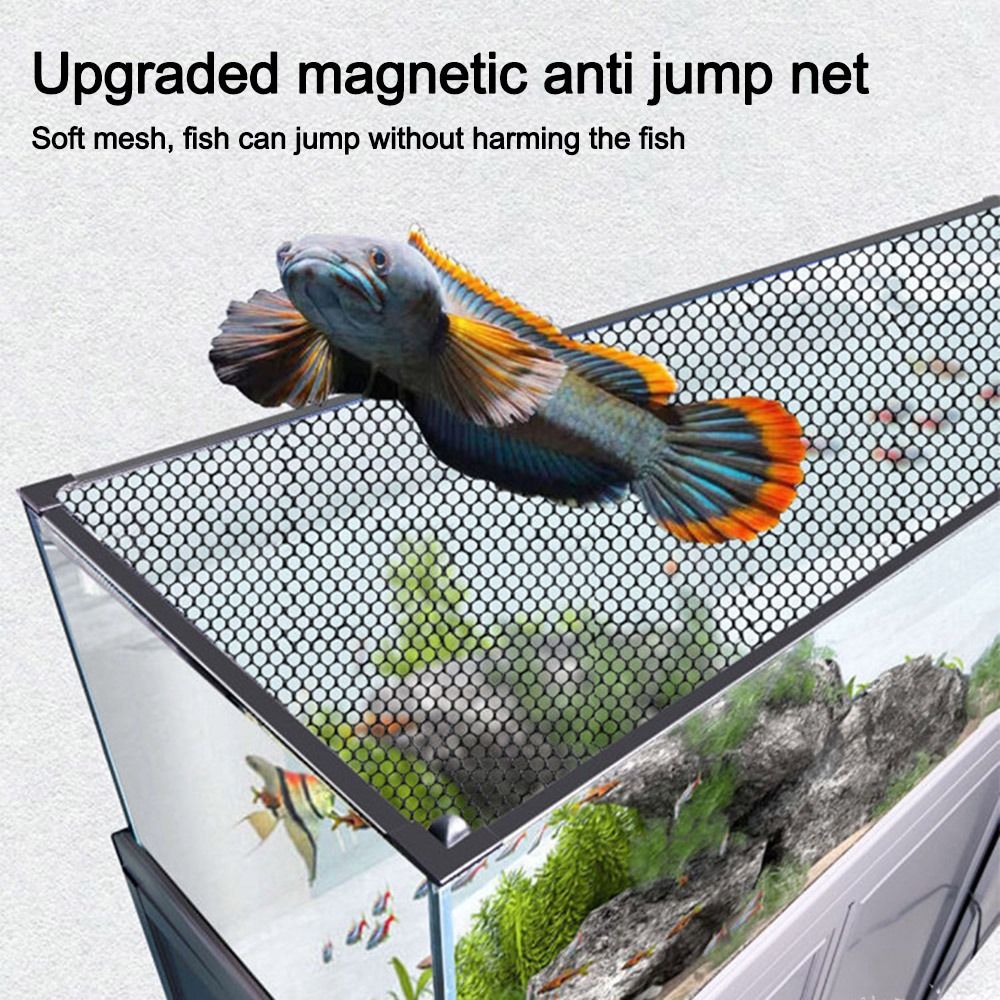 Coperchio Magnetico Robusto pe - Aquarium Fish Jumping recensione e prezzo