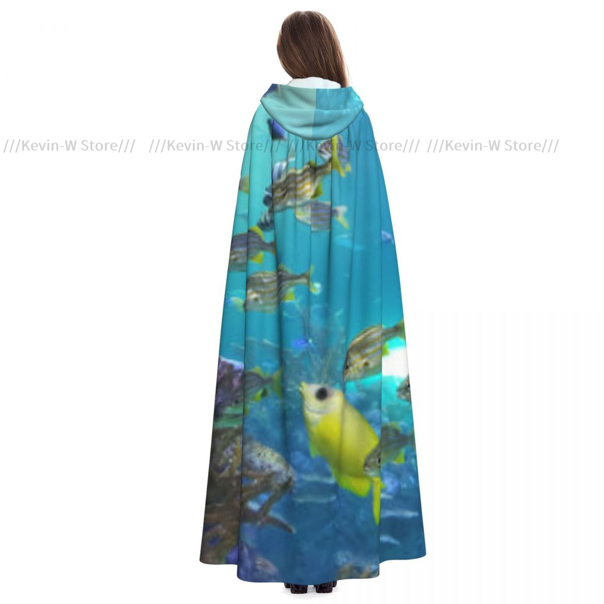 Pesce all'interno dell'acquari - Aquarium Queen Fish recensione e prezzo