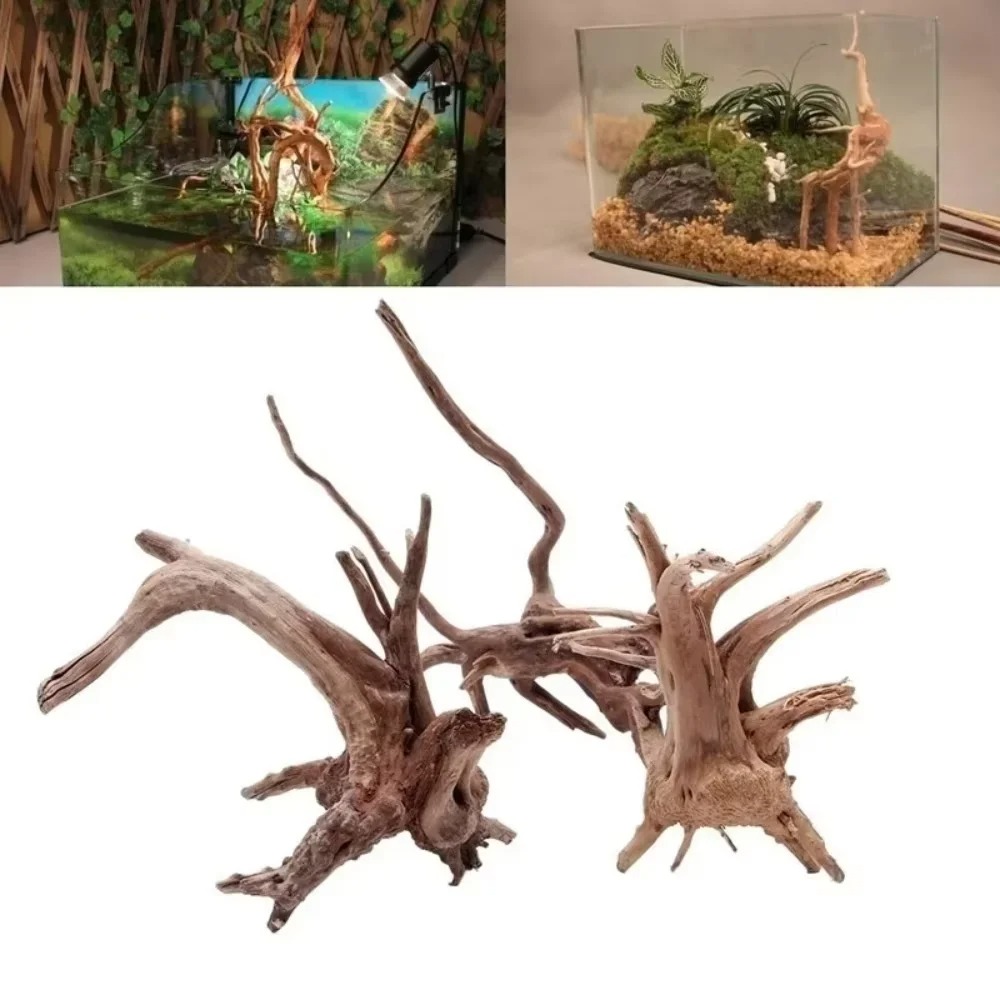 Legno Naturale per Acquario 15 - Aquarium Fish Gallery recensione e prezzo