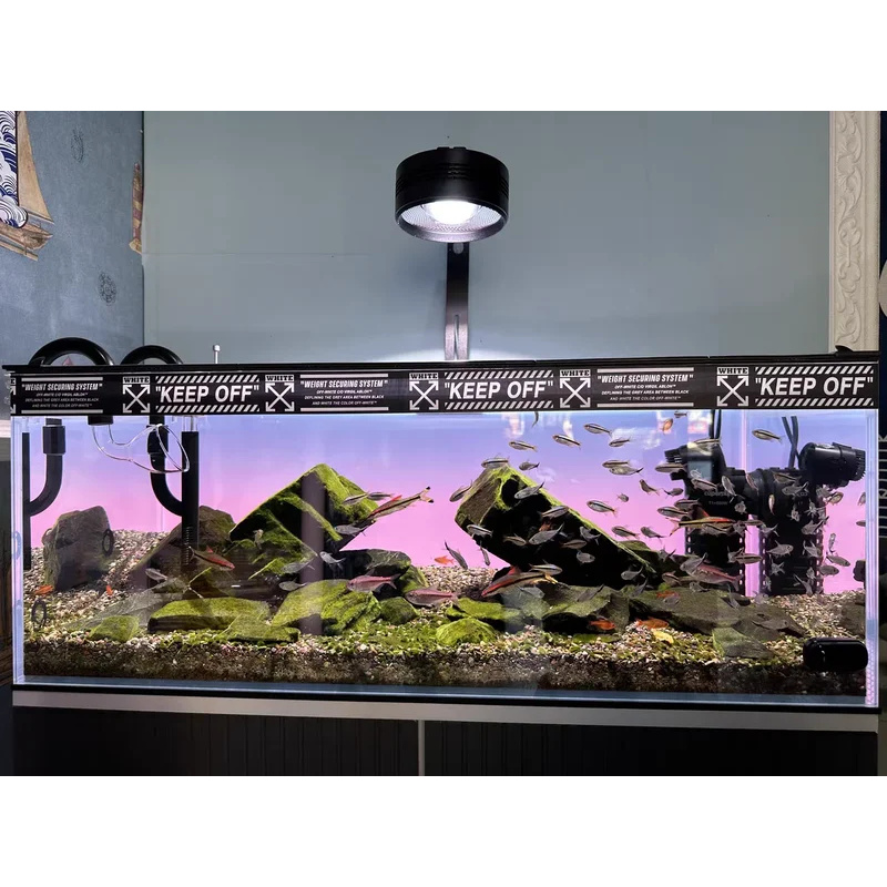 Sfondo per Acquario in Acrilic - Aquarium Fish Colour recensione e prezzo