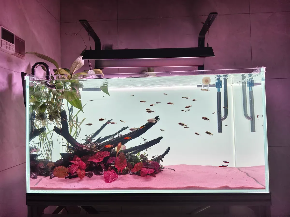 Sfondo per acquario in acrilic - Aquarium Fish Colour recensione e prezzo