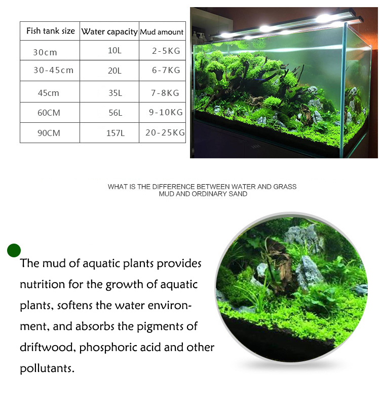 Acquario semi di piante terren - Aquarium Fish Gallery recensione e prezzo
