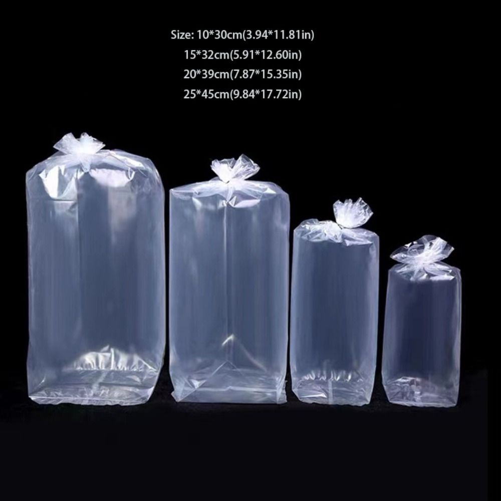 10 Sacchetti Trasparenti in Pl - Aquarium Fish Delivery recensione e prezzo