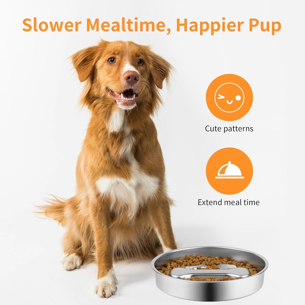 Ciotola Slow Feeder per Cani i - Royal Canin Food Medium recensione e prezzo