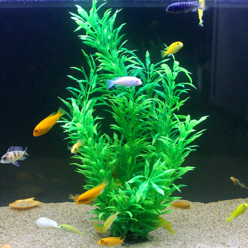 50CM Acquario artificiale Pian - Aquarium Fish Gallery recensione e prezzo