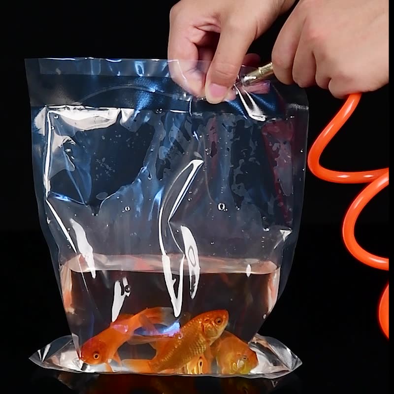 TETP 100 pz trasparente orname - Aquarium Fish Delivery recensione e prezzo